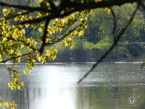 .jpg [ время: 22.10.2012 16:51, размер: 95.48 Кб | Просмотров: 2408 ]