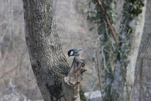 IMG_7081.JPG [ время: 24.03.2015 17:00, размер: 308.83 Кб | Просмотров: 6272 ]