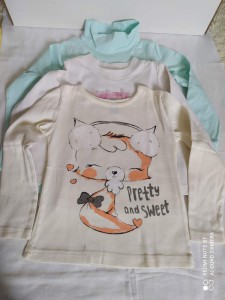 2...jpg [ время: 28.06.2021 20:57, размер: 388.64 Кб | Просмотров: 24885 ]