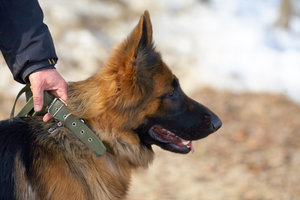 IMG_0931.jpg [ время: 25.04.2017 23:29, размер: 291.26 Кб | Просмотров: 3042 ]