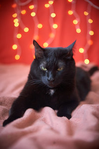 IMG_9637.jpg [ время: 25.04.2017 23:28, размер: 250.7 Кб | Просмотров: 2862 ]