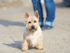 IMG_0951.jpg [ время: 25.04.2017 23:28, размер: 222.85 Кб | Просмотров: 3051 ]