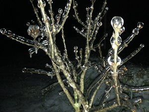 IMG_2398.JPG [ время: 21.01.2014 15:12, размер: 104.47 Кб | Просмотров: 3121 ]