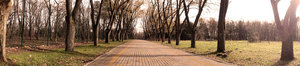 DSC00144.jpg [ время: 6.01.2013 19:08, размер: 95.88 Кб | Просмотров: 8166 ]