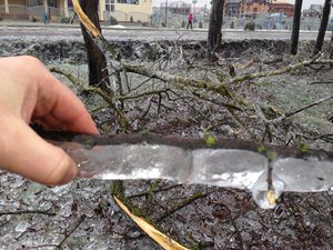 IMG_2407.JPG [ время: 21.01.2014 15:05, размер: 151.61 Кб | Просмотров: 3108 ]