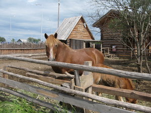 IMG_0063.JPG [ время: 18.03.2012 10:35, размер: 377.54 Кб | Просмотров: 4824 ]