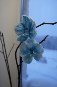 _DSC3262.jpg [ время: 27.02.2013 20:30, размер: 131.97 Кб | Просмотров: 2105 ]