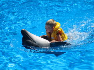 IMG_4587.JPG [ время: 11.12.2012 23:03, размер: 41.01 Кб | Просмотров: 12027 ]