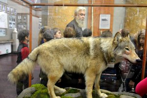 95miPvcQBuk.jpg [ время: 26.12.2015 15:51, размер: 215.77 Кб | Просмотров: 3793 ]