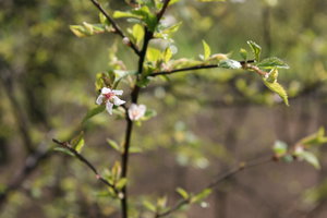 2014-05 Разное 022.JPG [ время: 26.12.2015 20:06, размер: 2.29 Мб | Просмотров: 3183 ]