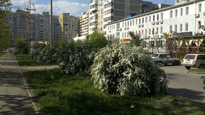 getImageCAFHZAOH.jpg [ время: 23.03.2014 1:14, размер: 81.49 Кб | Просмотров: 2140 ]