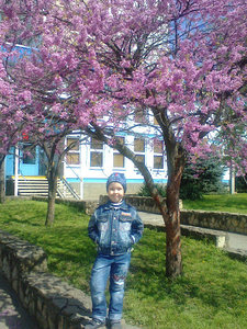 getImageCASCR6B3.jpg [ время: 23.03.2014 1:14, размер: 83.39 Кб | Просмотров: 2208 ]