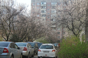 getImageCAGL9VNO.jpg [ время: 23.03.2014 1:15, размер: 89.95 Кб | Просмотров: 2186 ]